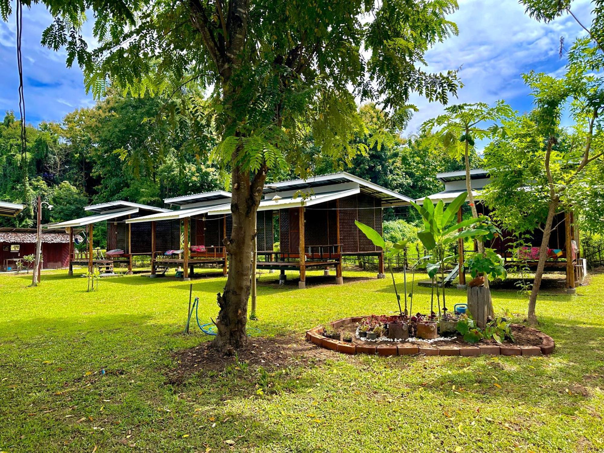 Twin Hut Hotel ปาย ภายนอก รูปภาพ