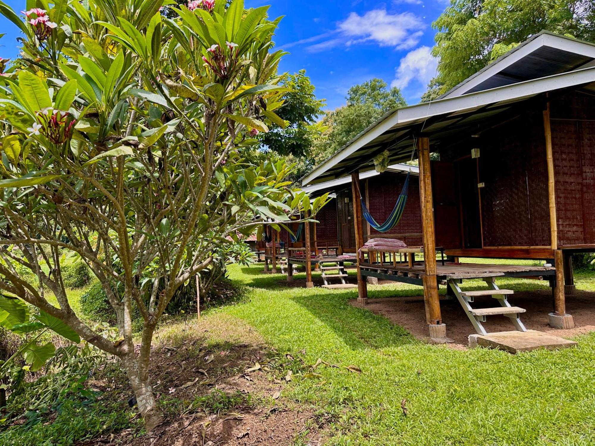 Twin Hut Hotel ปาย ภายนอก รูปภาพ