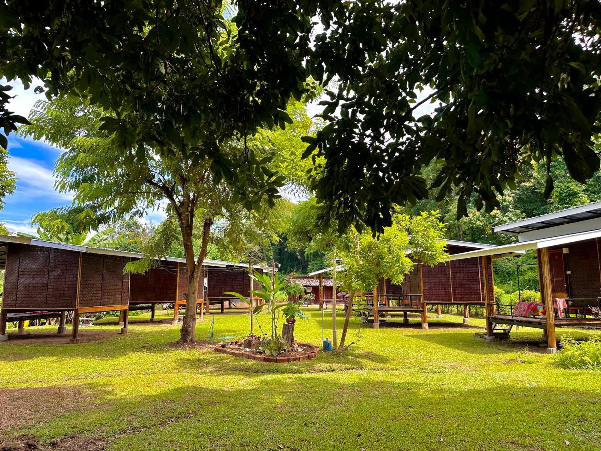 Twin Hut Hotel ปาย ภายนอก รูปภาพ