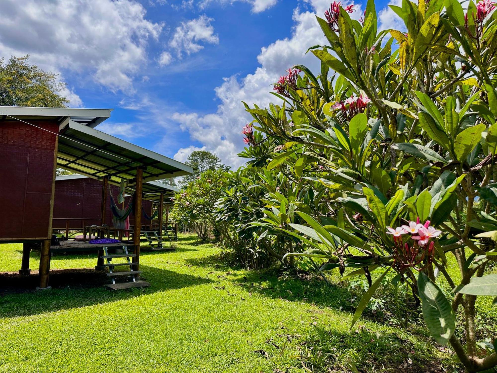 Twin Hut Hotel ปาย ภายนอก รูปภาพ
