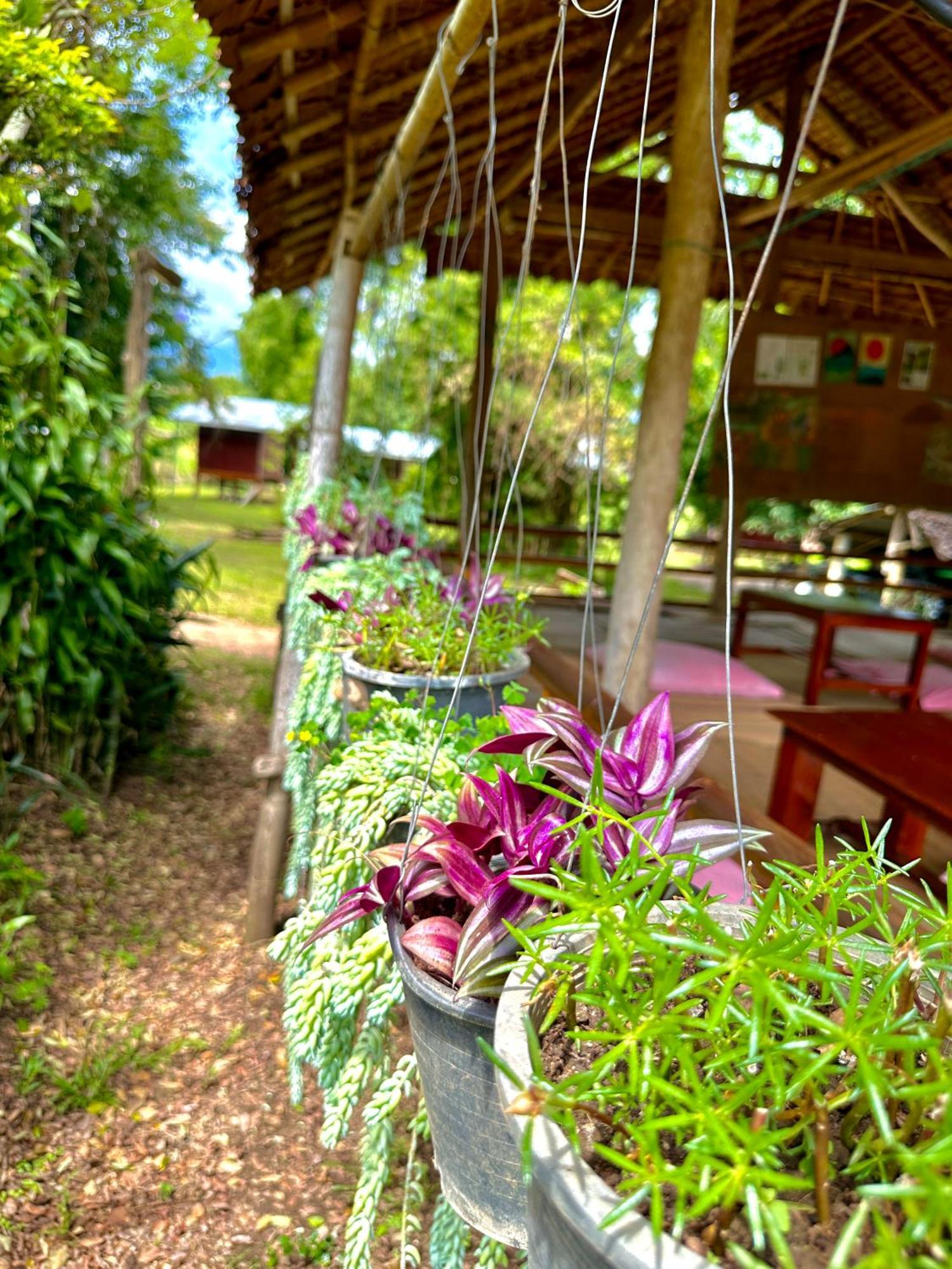 Twin Hut Hotel ปาย ภายนอก รูปภาพ